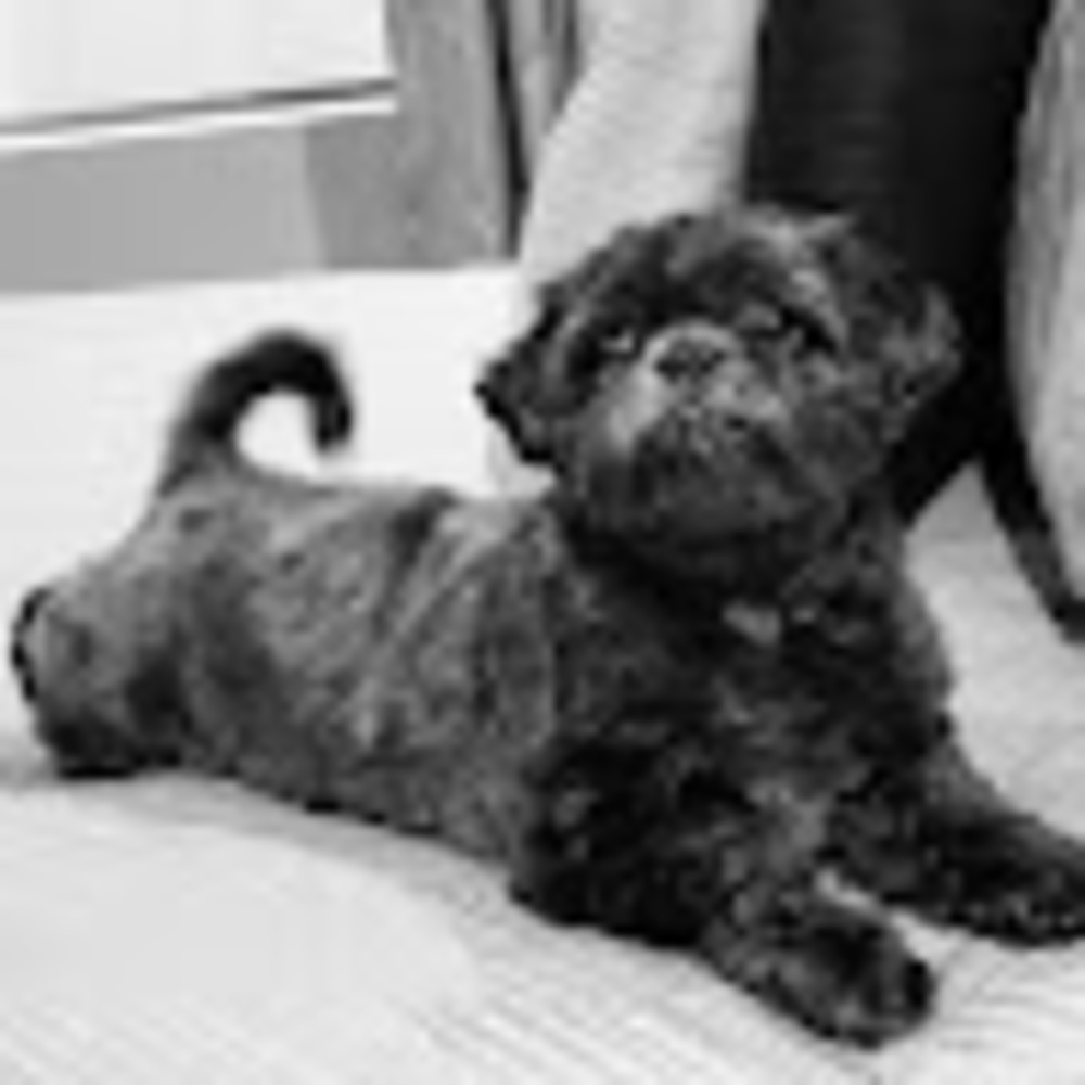 Meet your Posher, Luis